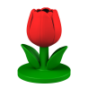 Tulipan