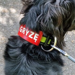 JESTEM CHORA - nakładka ostrzegawcza na obrożę